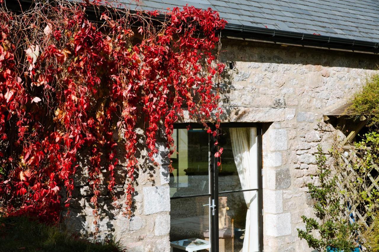 Higher Weddicott Barn Holiday Cottage - Self Catering 查格福德 外观 照片